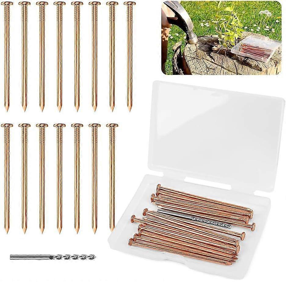 Copper Nails for Tree Stump Removal with Drill, 25-Count Pack