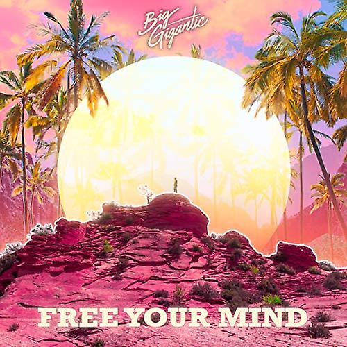 Big Gigantic - Free Your Mind [CD]