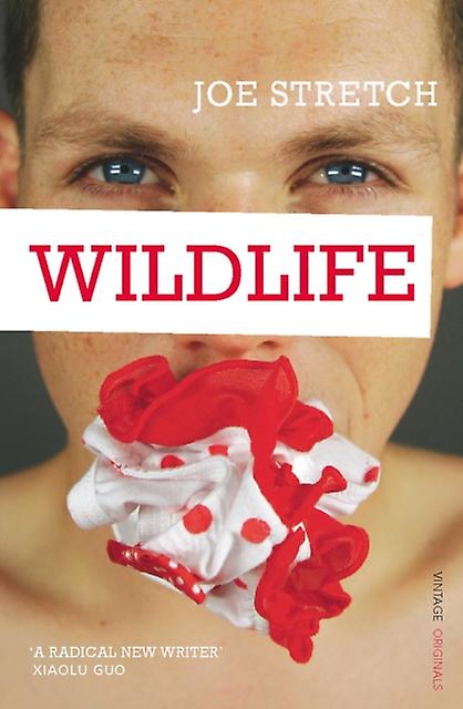 Dieren in het wild - Joe Stretch