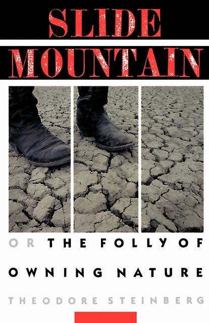 Slide Mountain by Theodore Steinberg Paperback Book