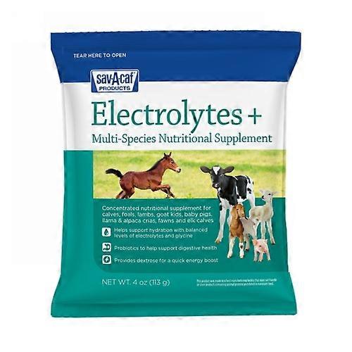 Sav-A-Caf Electrolytes +, 4 Oz