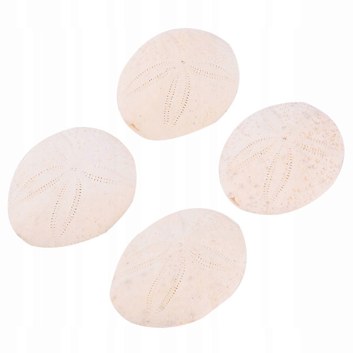 Conch Shell Household Natural 6 Pcs