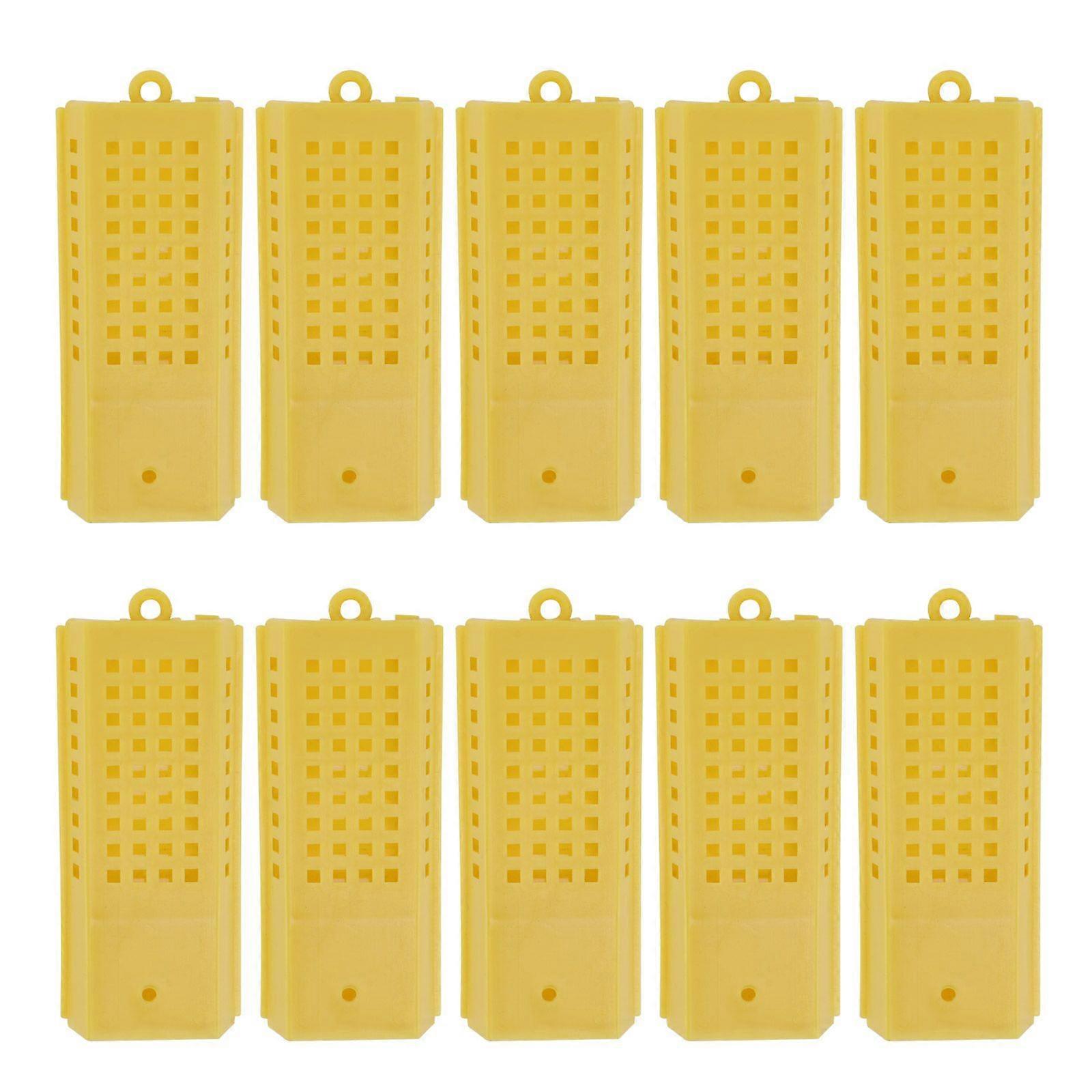10pcs Practical Bee Tool Creative Queen Bee Box Queen Bee Catch Cage Beekeeping Tool