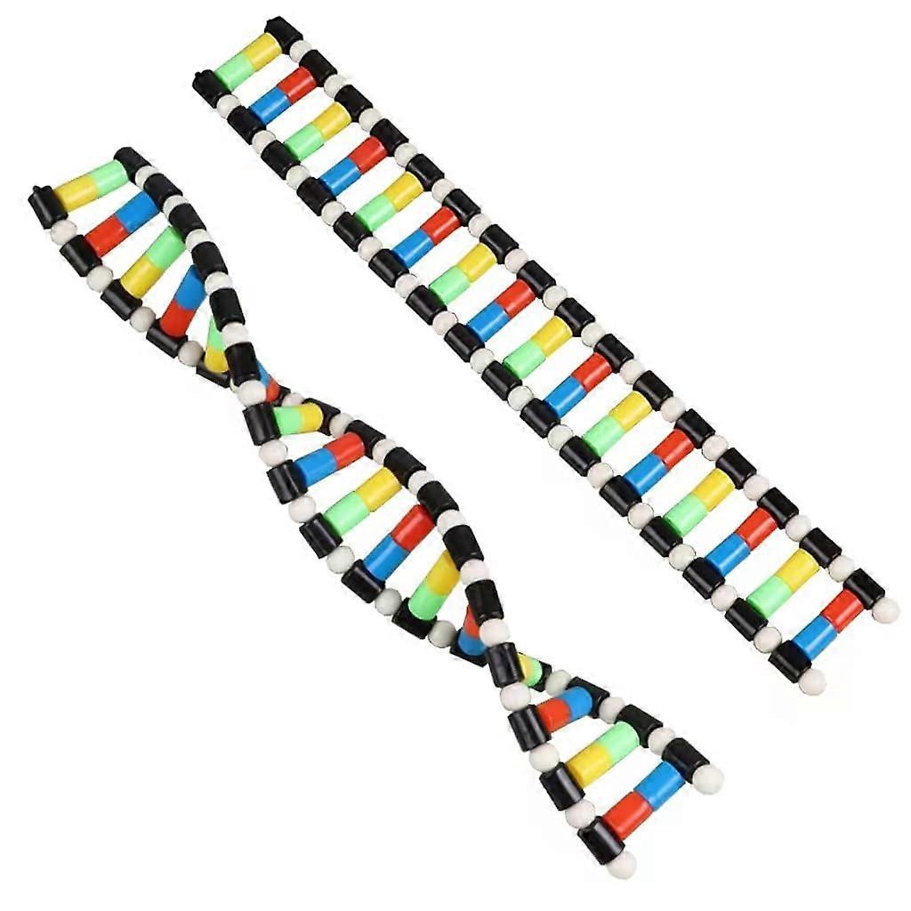 DNA Model Double Helix Structure Model Kit Biology Science Teaching AIDS Compact, Unisex, Schoolaged Educators