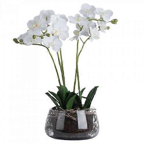 Hill Interiors Orchid In Glass Pot