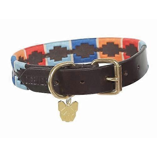 Collier pour chien en cuir Shires