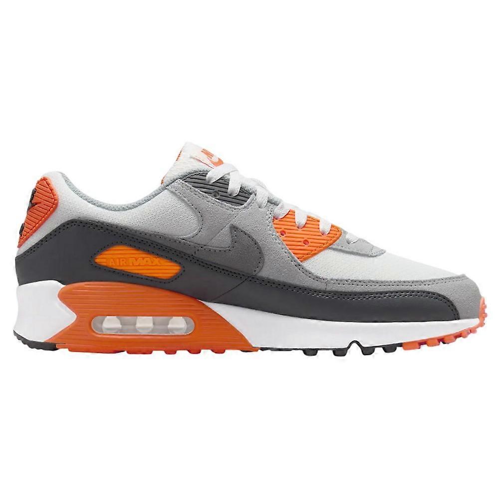 Shoes Nike Air Max 90 DM0029108