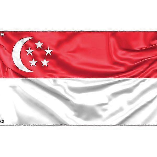 Flag Of Singaporepattern 595
