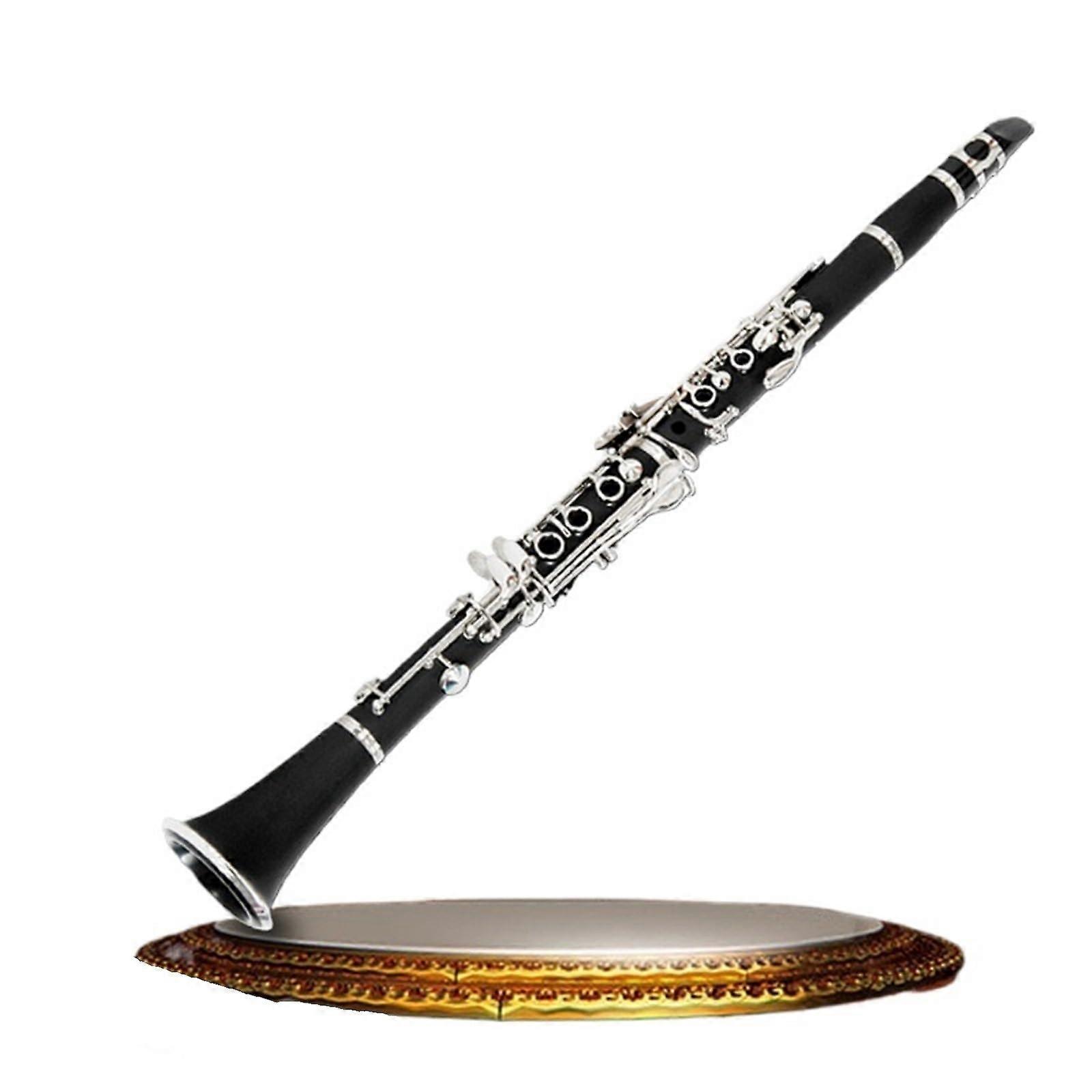 Professional Bb Clarinet with Case, Warm Tone, Precise Intonation for Beginners and Performance