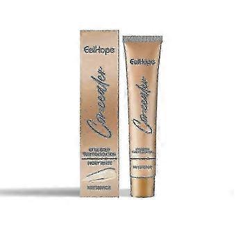Kleine goldene Tube Foundation Concealer, natürlicher, leichter Haut-Concealer, nicht leicht zu entfernendes Make-up, feuchtigkeitsspendende flüssige Foundation_DuibY