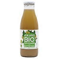 Lemonade with spearmint + agave 750ml 200 ml