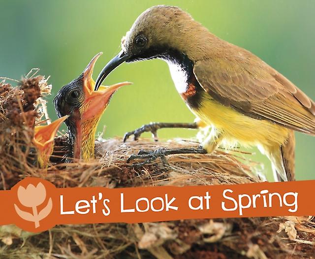 Lets Look At Spring by Sarah L. Schuette Paperback Book