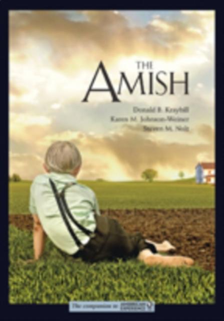The Amish by Nolt & Steven M. Professor of History and Anabaptist and Pietist Studies & Elizabethtown College Paperback Book