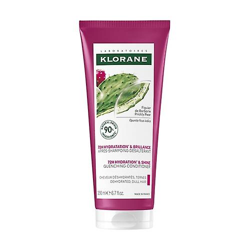 Barbarian Fig Conditioner 200 ml