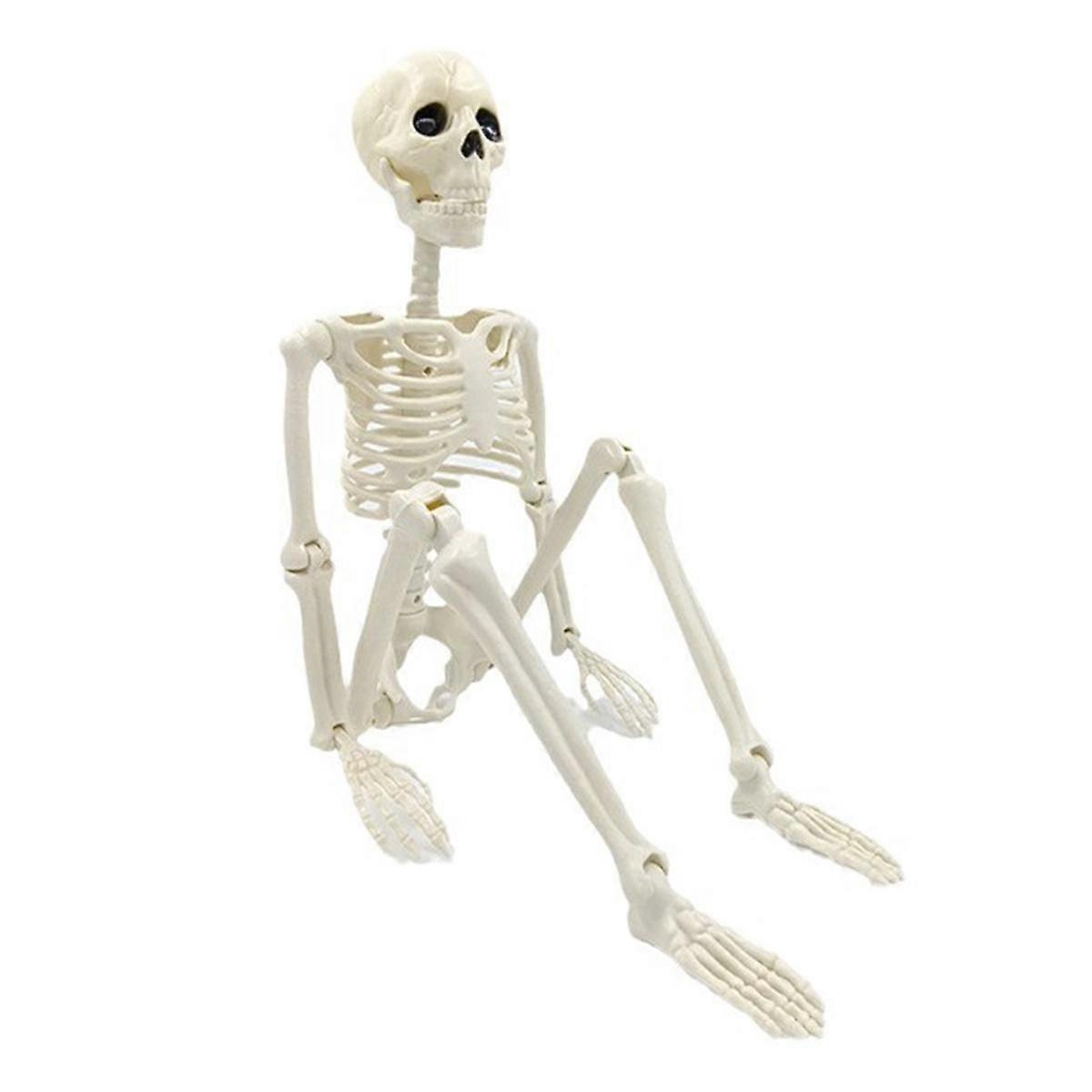Halloween Skeleton Decoration, Posable Full Body Skeleton with Movable Joints, Spooky Prop for Yard, Garden, Lawn, Patio