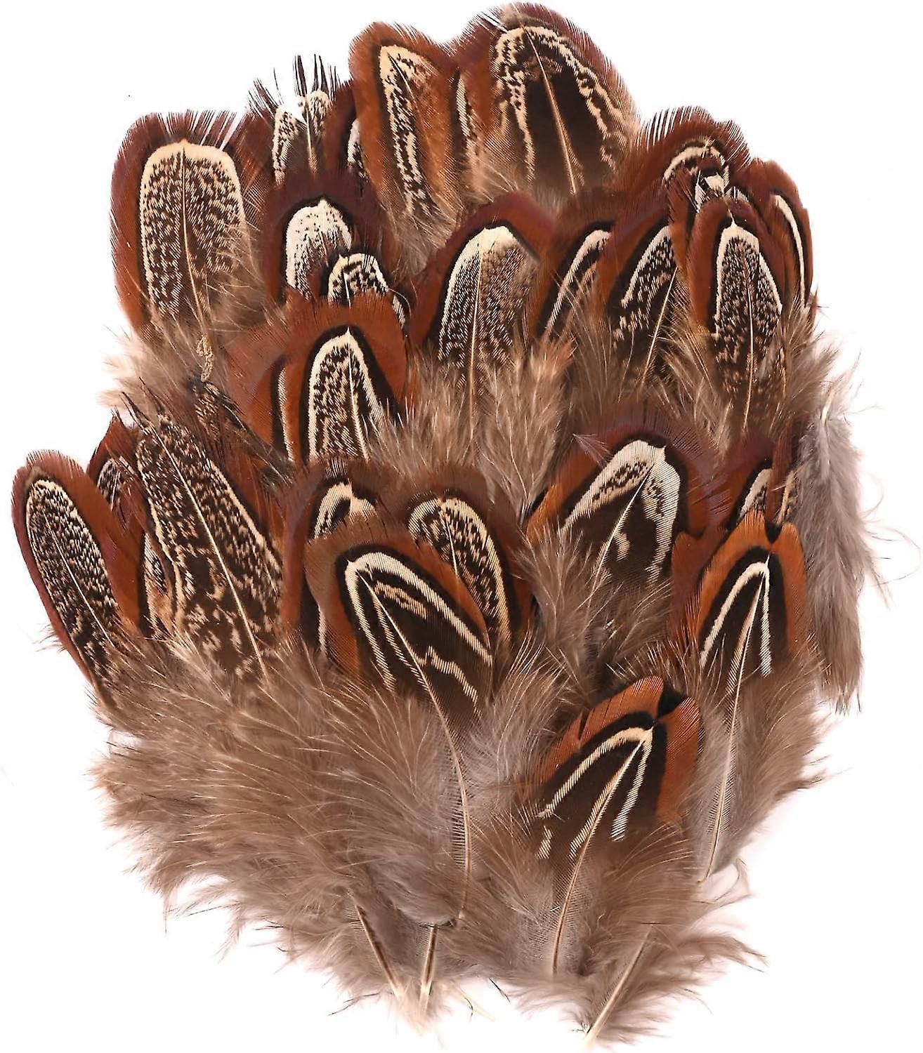 Natural Pheasant Feathers 150 Pieces Natural Crafts Feathers 5-8cm Brown Feathers for DIY Dream Catchers Wedding Birthday Hair Hats Crafts Party Cospl