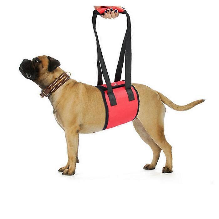 Dog Sling for Rear Legs Helps Elderly