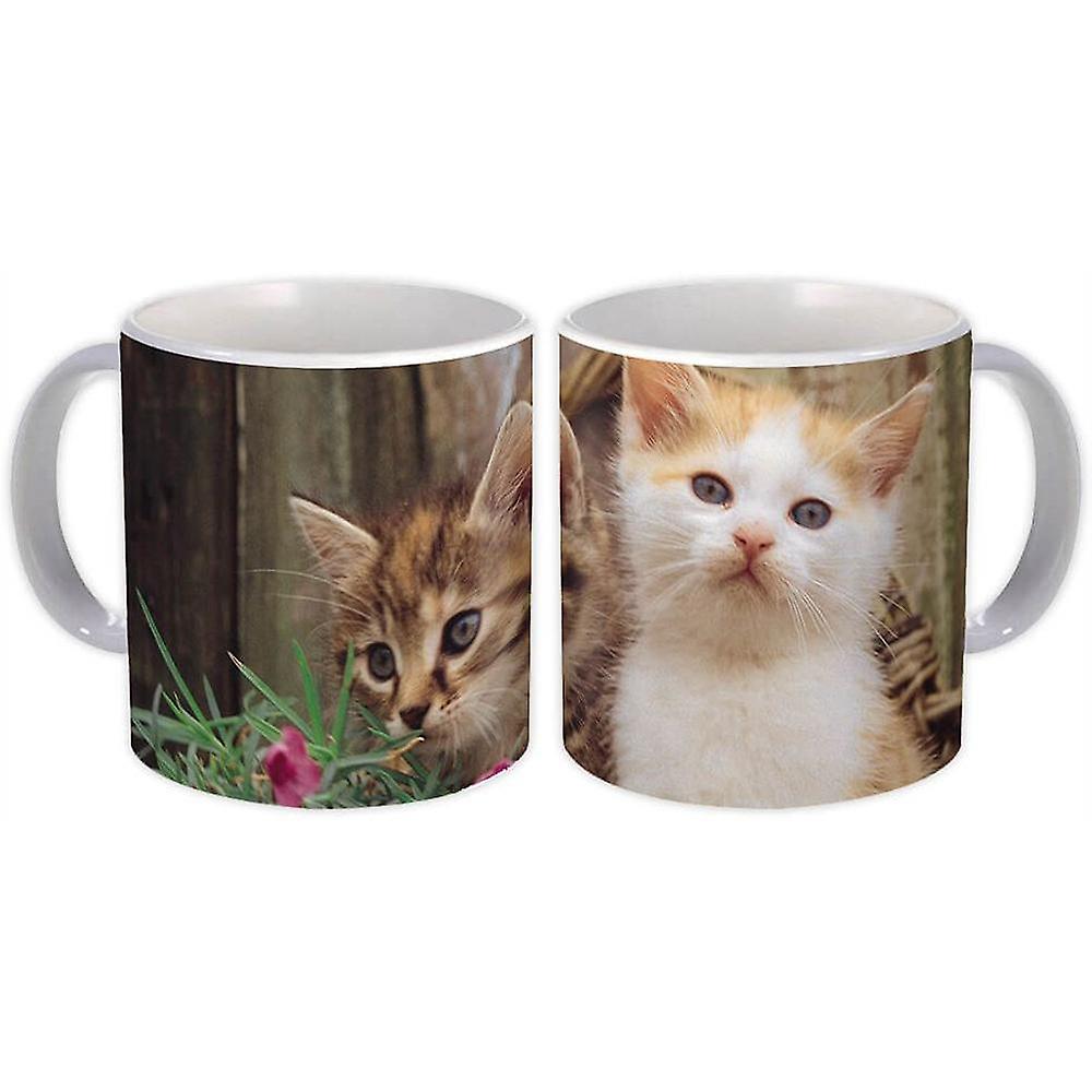 Gift Mug: Cat Animal