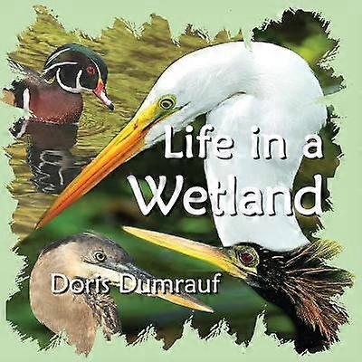 Leben in einem Feuchtgebiet