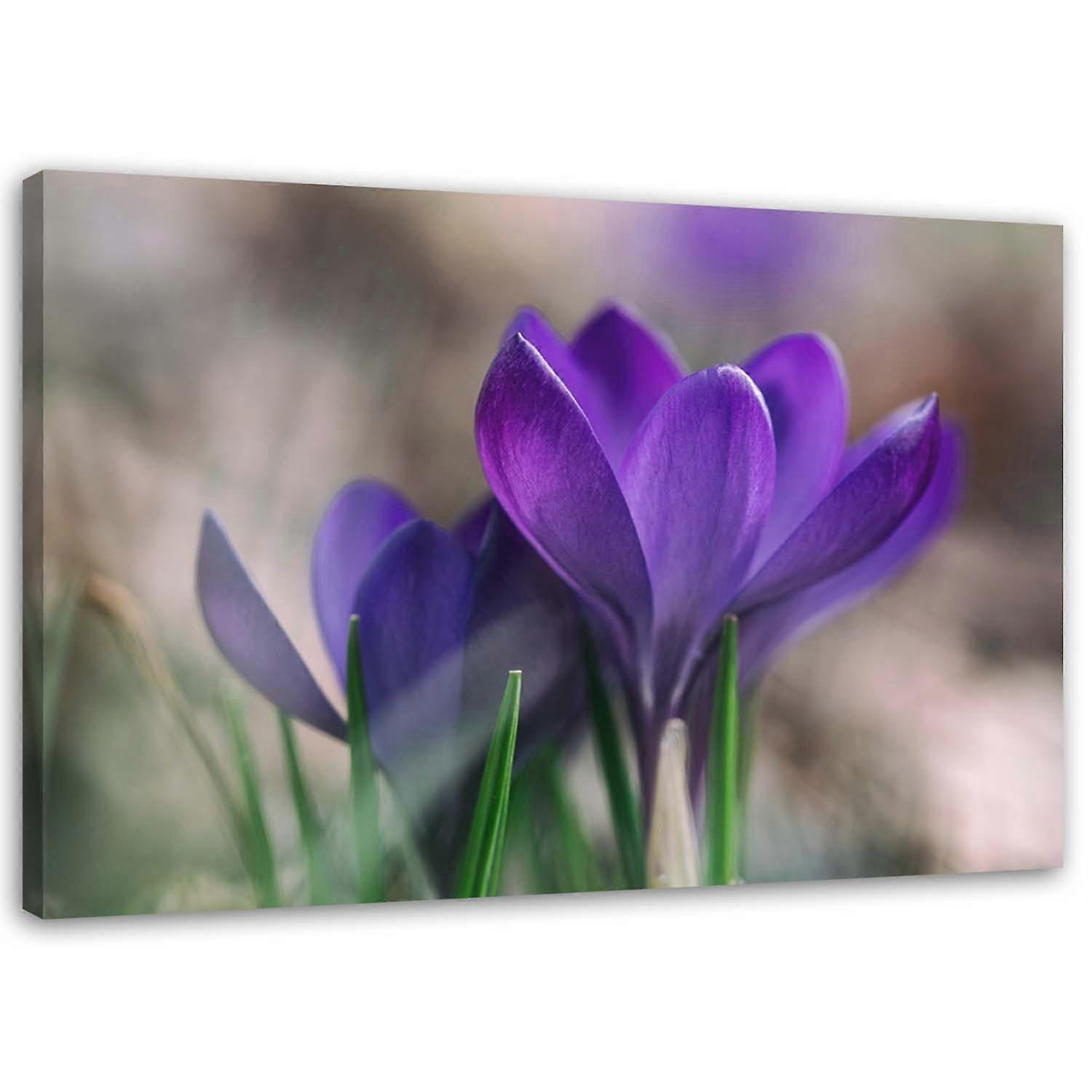 Impression sur toile, Crocus printaniers - 90x60