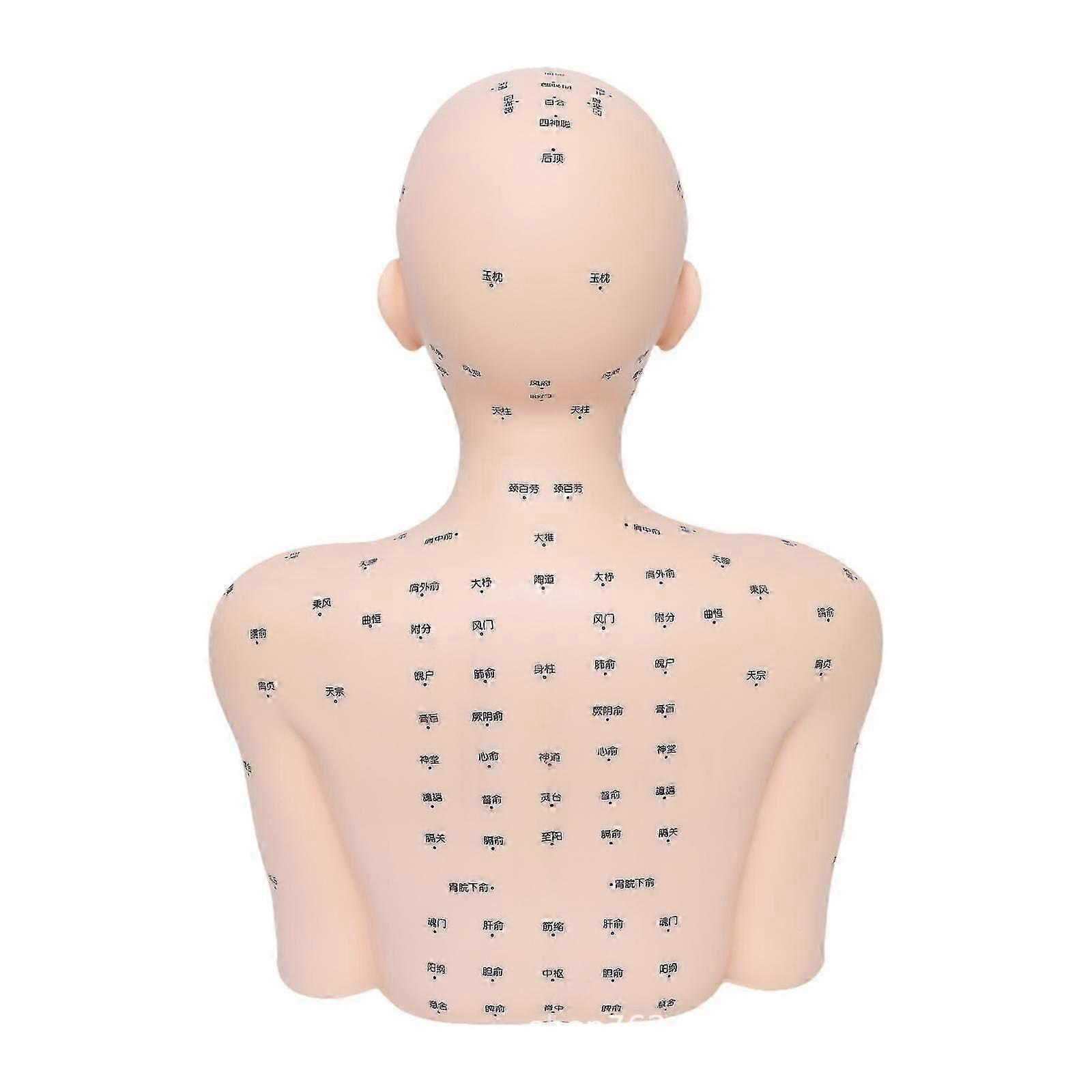 Mannequin Head with Shoulders Massage Practice Tool for SPA Nursing Training Normal