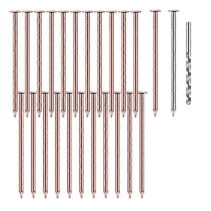 Pregos de cobre para remoção de tocos de árvores 25 pcs 3,5 polegadas