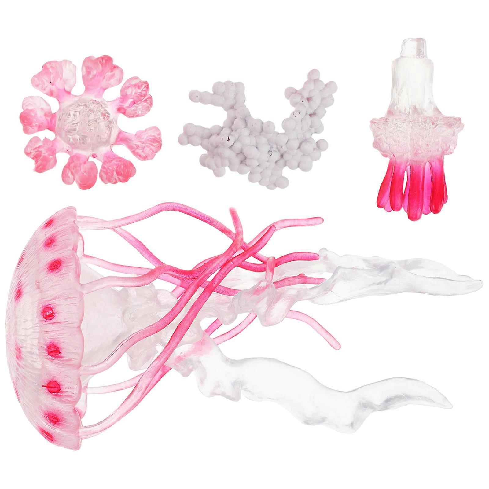 Simulated Jellyfish Learning Kit for Preschool Science Education 4Sets