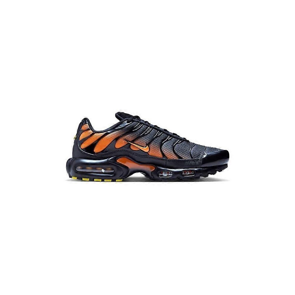 Shoes Nike Air Max Plus DM0032025