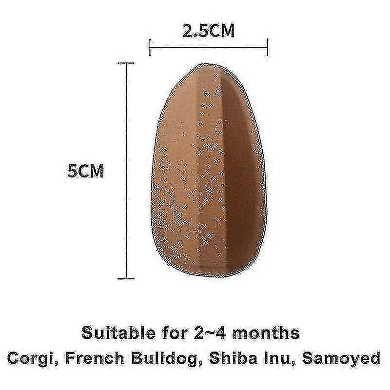 Dog Ear Stand Correction Patch, Arc Design for Ear Support