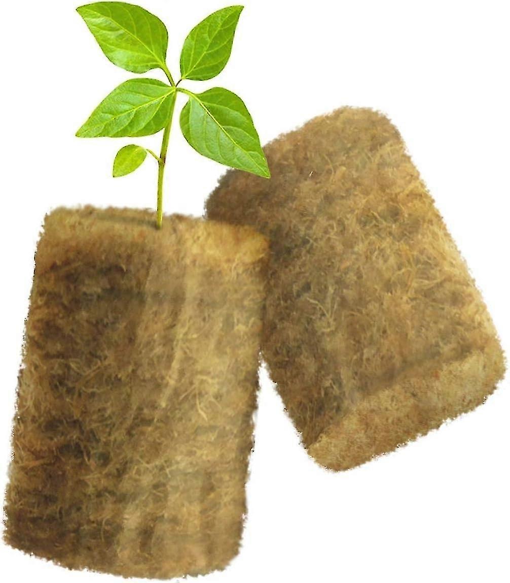 Outdoors Round Rockwool Seed Starter Plugs, 0.6 Inch, 50 Pack