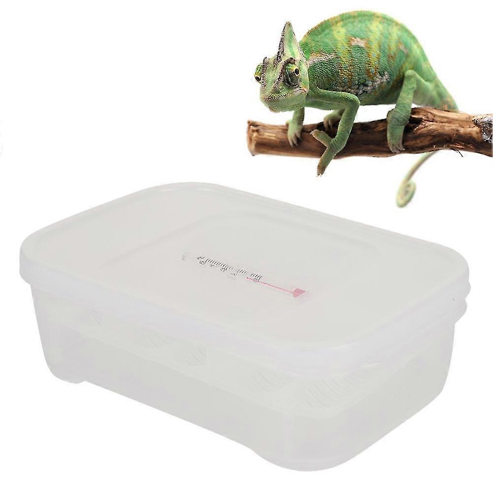 Professional Reptile Incubator Hatching Box for Small Eggs and Breedlings