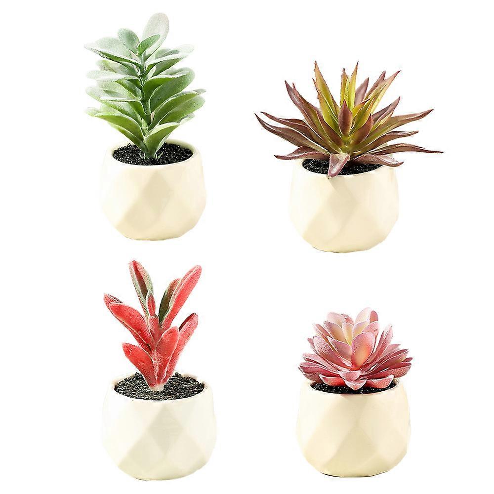 Mini-Sukkulenten Innendekoration Simulation Pflanze