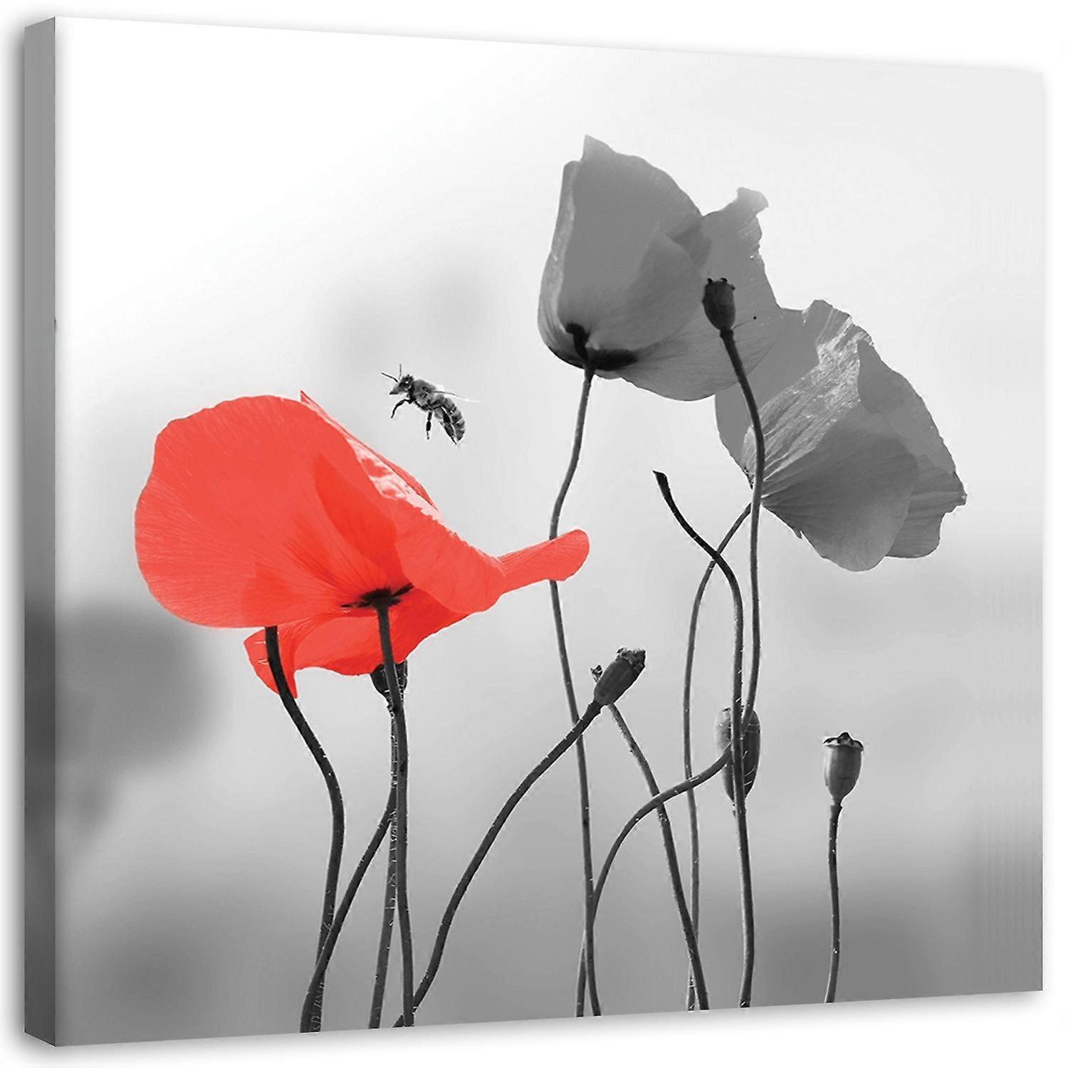 Lienzo, Amapolas pradera naturaleza - 60x60