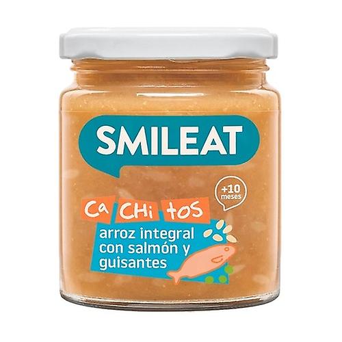 Jar with small pieces of rice with salmon and peas 10m+ 230 g (Pea - Salmon - Fish)