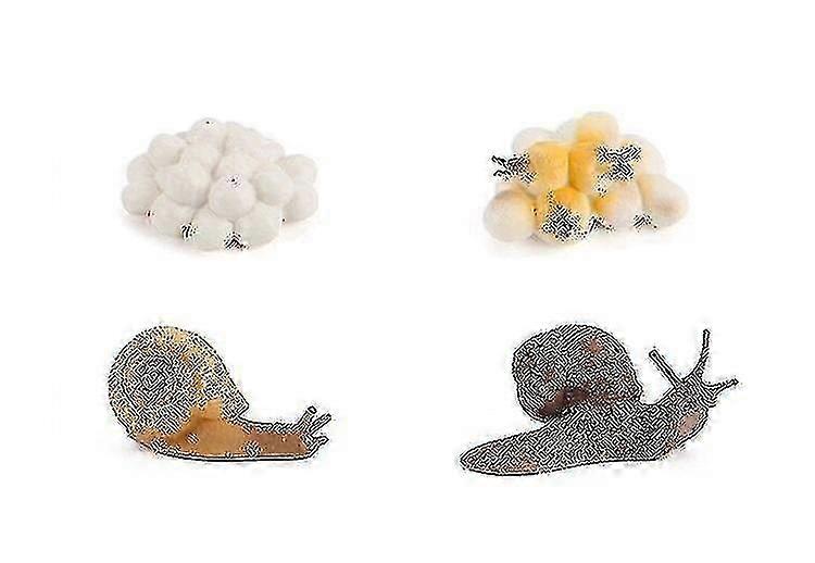 Miniature Snail Figurines Set, Toy Creatures Models