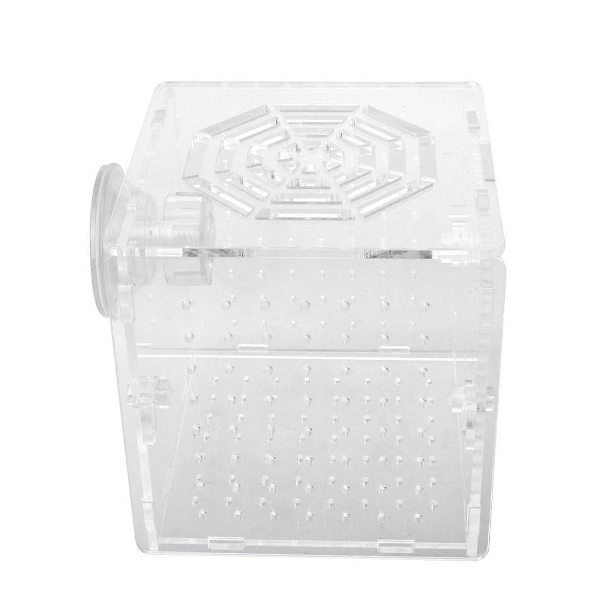 Aquarium Isolation Box Acrylic Fish Breeding Tank Transparent Hatching Box 10x10x10cm Suction Installation 1Pcs