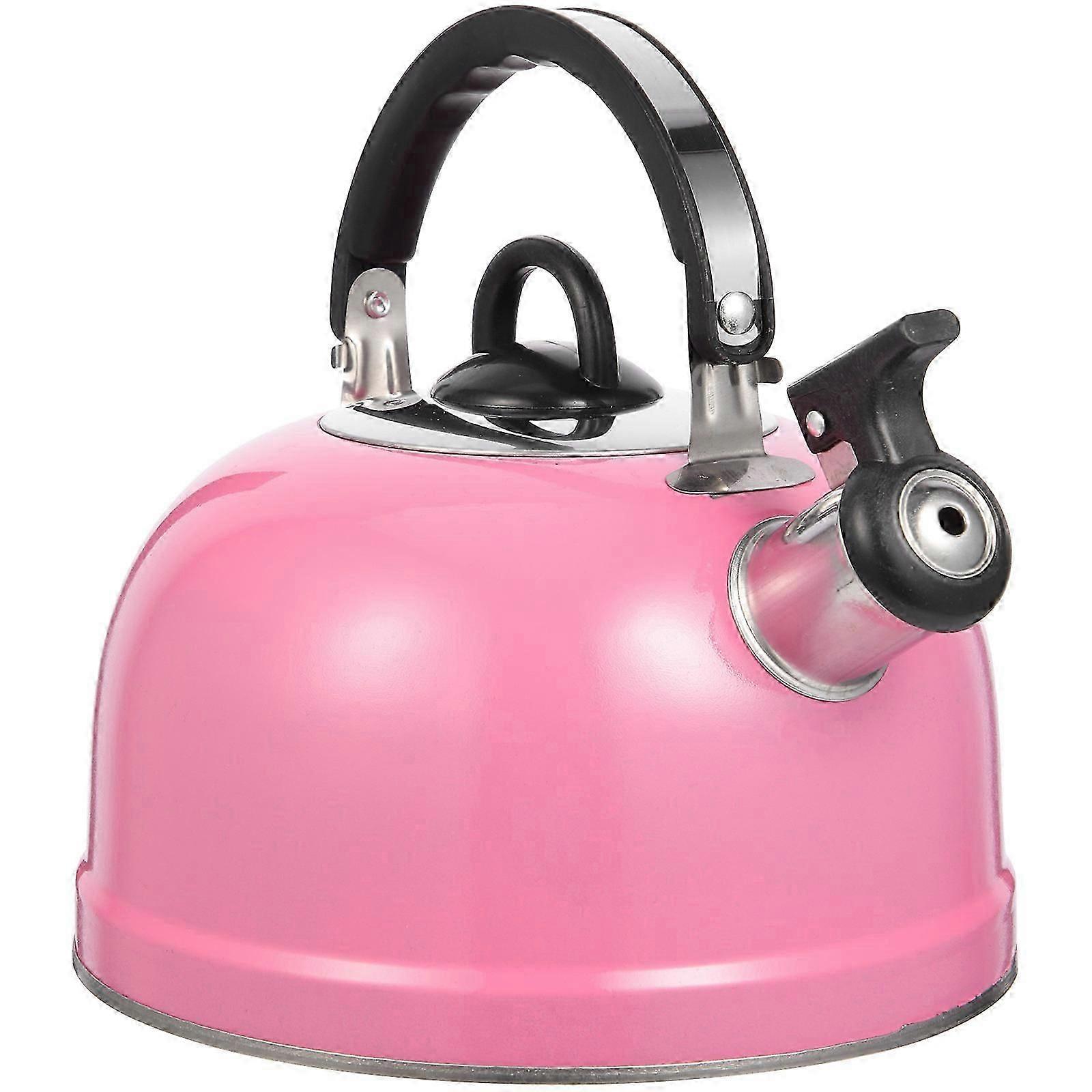 Practical Kettle with Handle for Boiling Water Hot Water Pot Convenient Pot 1 Set