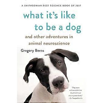 Was es ist wie ein Hund: und andere Abenteuer in den tierischen Neurowissenschaften