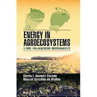 Energia em Agroecossistemas: Uma Ferramenta para Avaliar a Sustentabilidade - Taylor & Francis Ltd - Brochura - livro em inglês