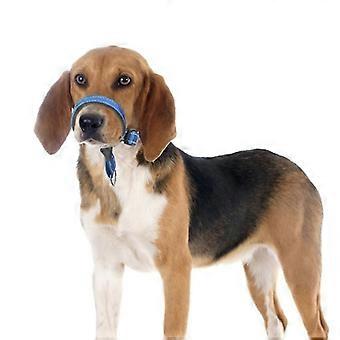 Collar de cabeza de perro, ajustable y acolchado, sin herramienta de entrenamiento de tracción para perros en paseos, collar de cabeza acolchado para perros pequeños medianos y grandes