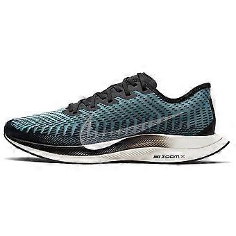Nike Zoom Pegasus Turbo 2 Pumice AT2863-006