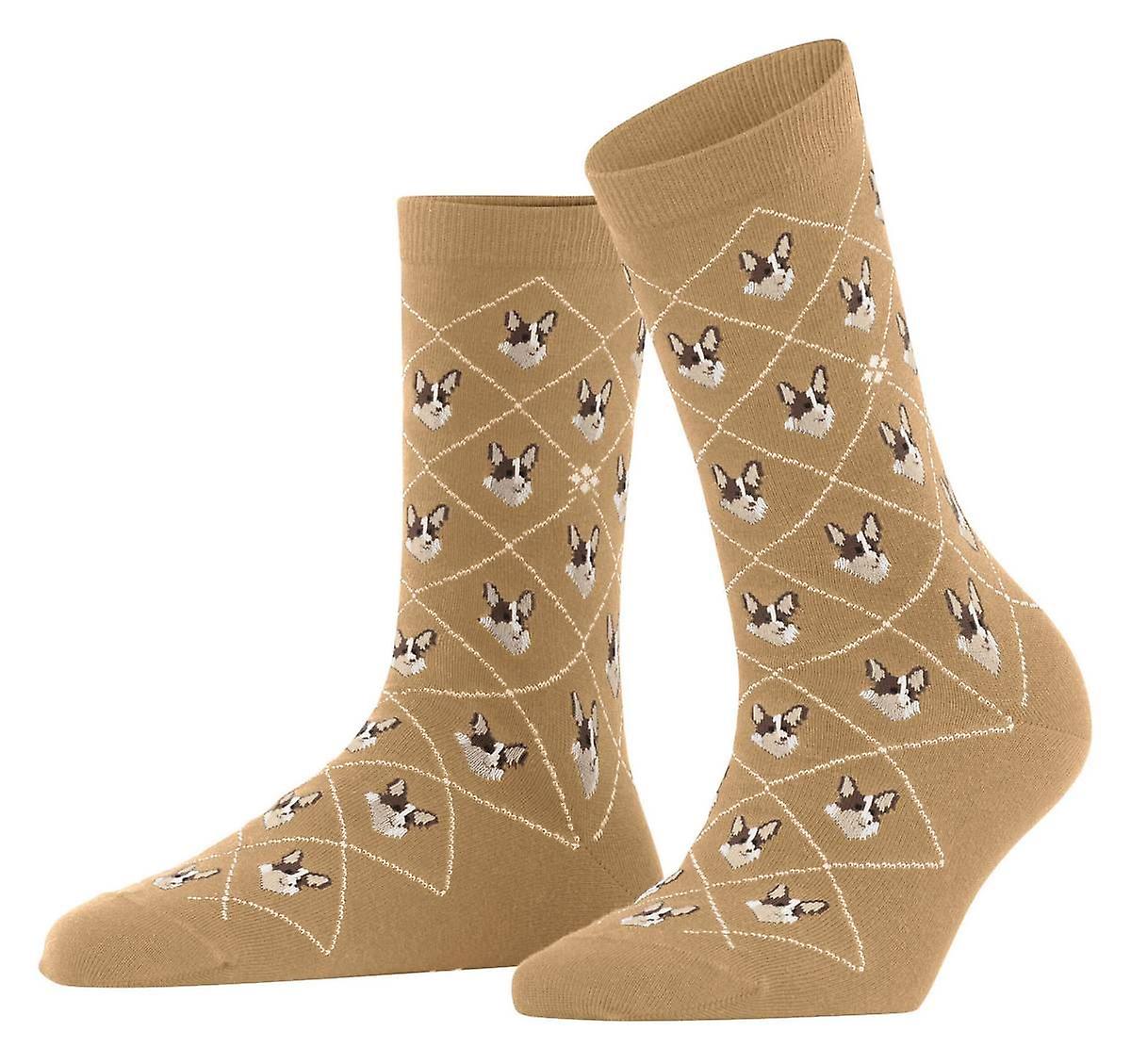 Burlington Corgi Socks - Toffee Beige