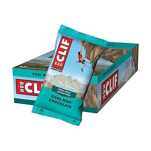Oatmeal Energy Bar with Mint and Chocolate 1 bar of 68g