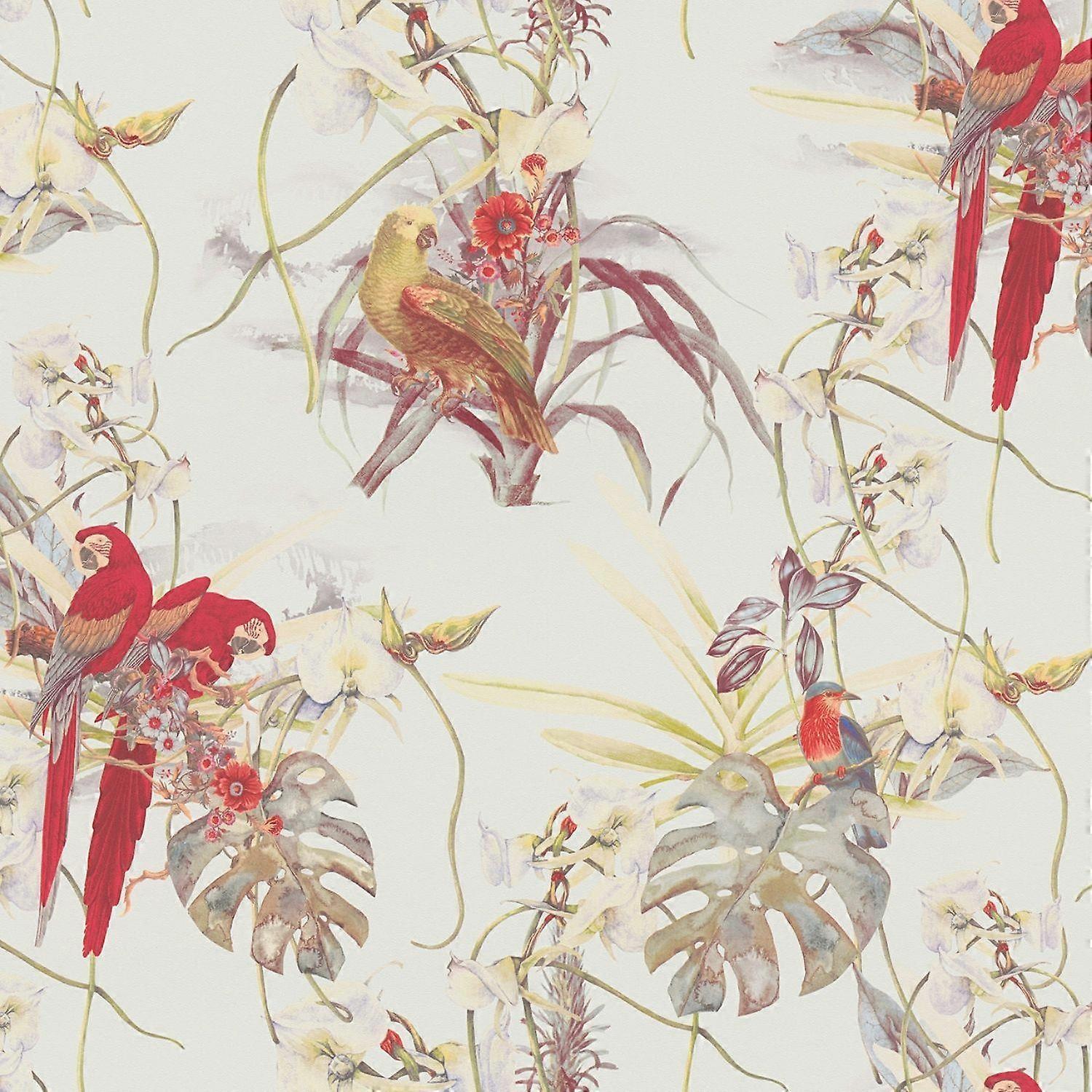 AS Creation Exotic Birds Vinyl Wallpaper