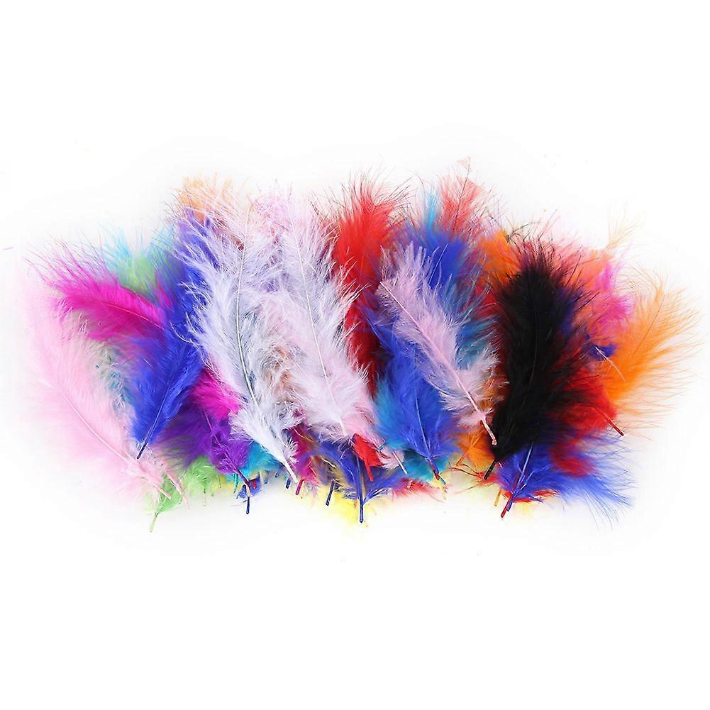 300 Pcs Colorful Feathers for DIY Craft Decorations