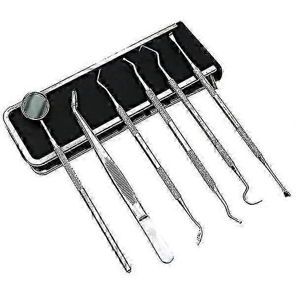 Kit de cuidado dental con 6 instrumentos dentales Plata