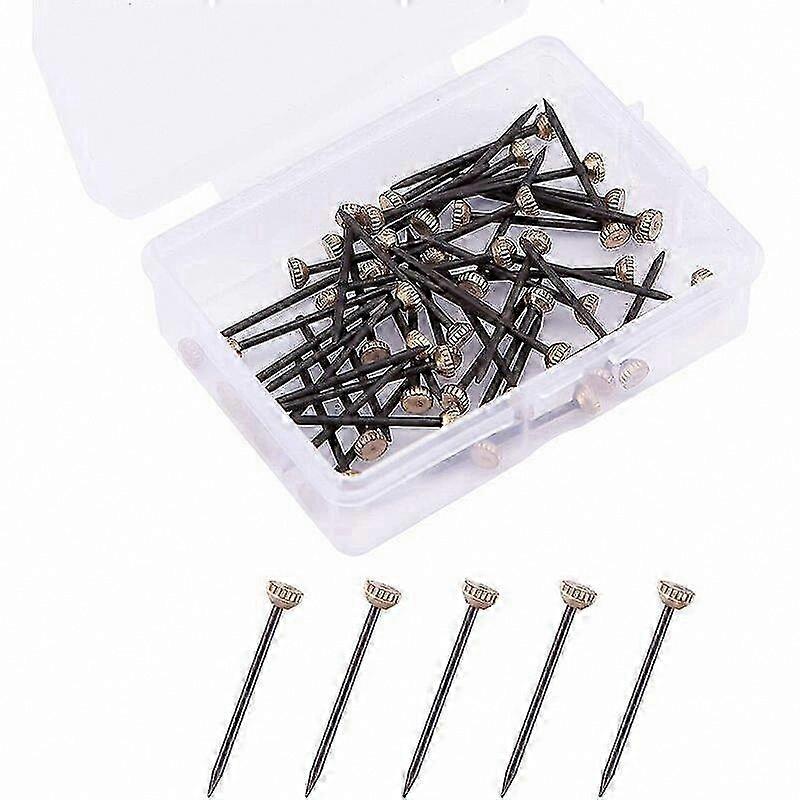 50-Pack Picture Hanging Nails with Storage Box for Plaster Walls and Frames
