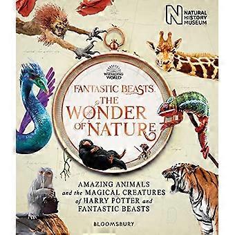 Bestias fantásticas: La maravilla de la naturaleza: animales increíbles y las criaturas mágicas de Harry Potter y bestias fantásticas
