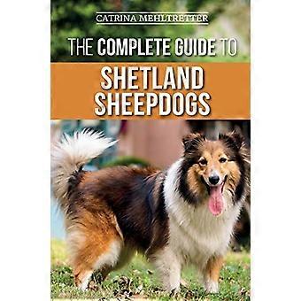 Der vollständige Leitfaden für Shetland-Schäferhunde: Finden, Aufziehen, Trainieren, Füttern, Arbeiten und Lieben Ihres neuen Shelties