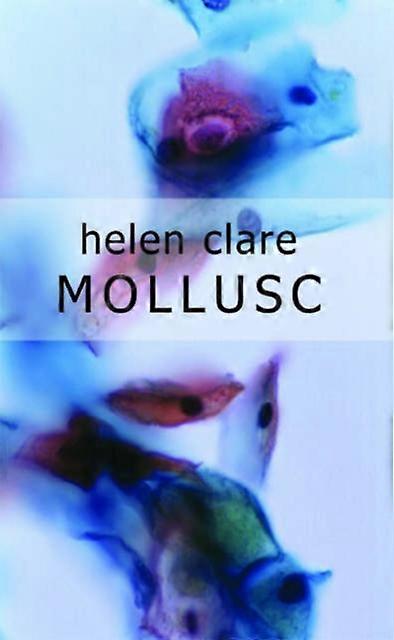 Mollusc - Helen Clare